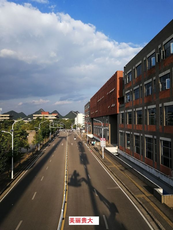 貴州某高校為本校區(qū)內(nèi)600多盞路燈更換LED燈頭及加裝太陽(yáng)能LORA調(diào)光控制模塊，達(dá)到了節(jié)能和智能控制的目的。